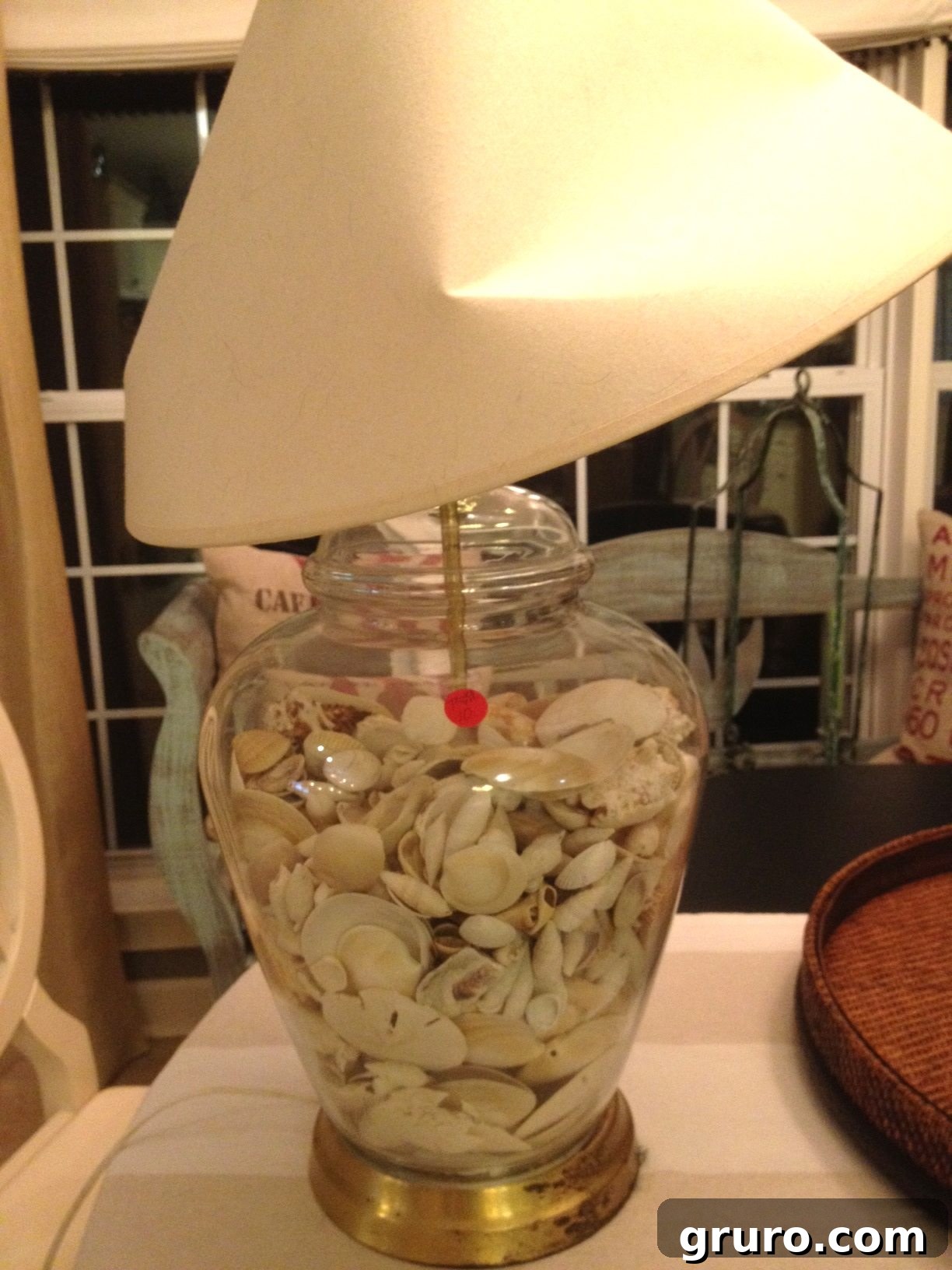 A collection of diverse seashells