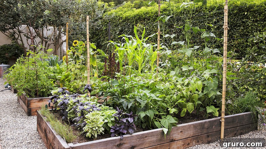 Elevated Garden Inspiration 3 Raised garden bed example from Sunset