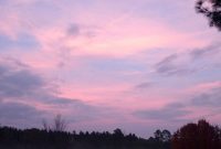 The Next Horizon