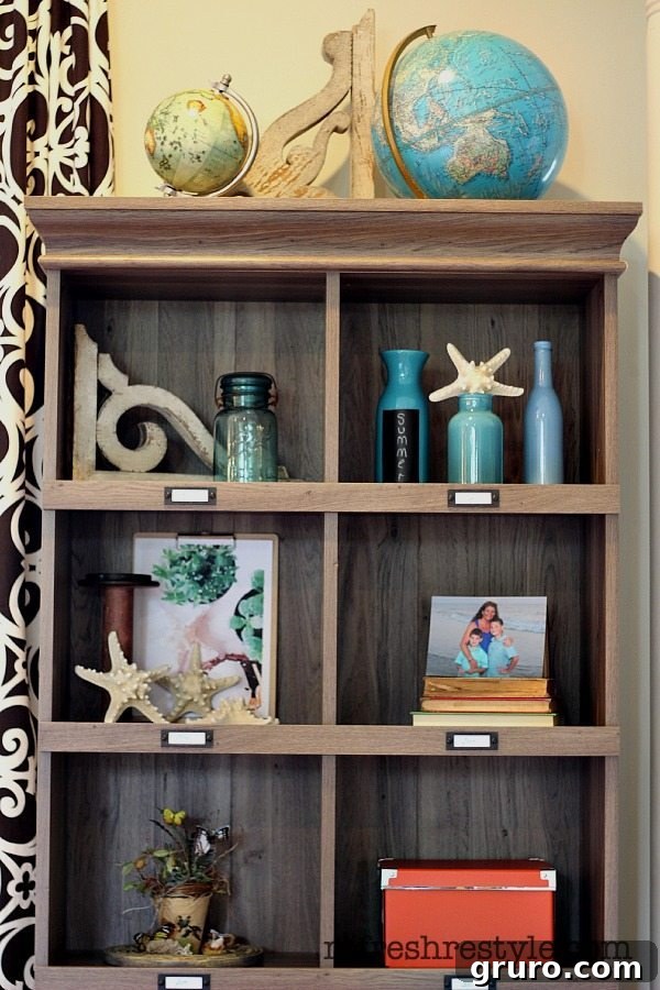 Multi-Functional Furniture Styling Decorated Urban Classic Bookcase showcasing versatile home organization with books, plants, and decorative items.