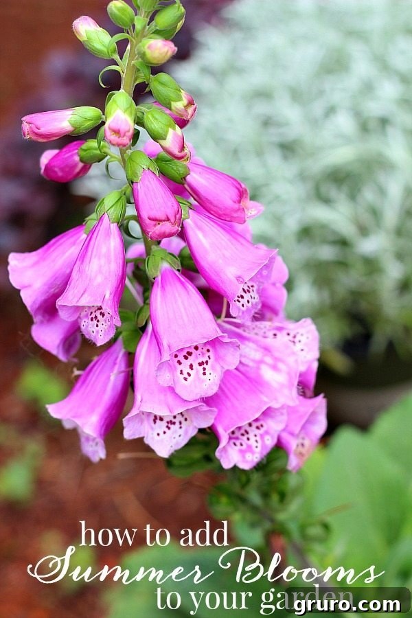 How to add summer blooms to your garden for vibrant color and lasting beauty