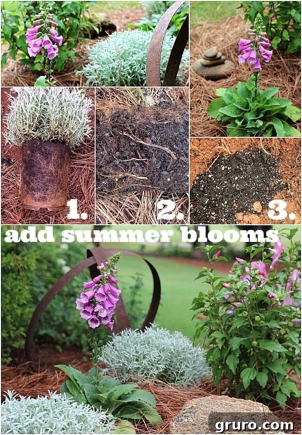 How to add color in your garden with summer blooms and simple planting techniques
