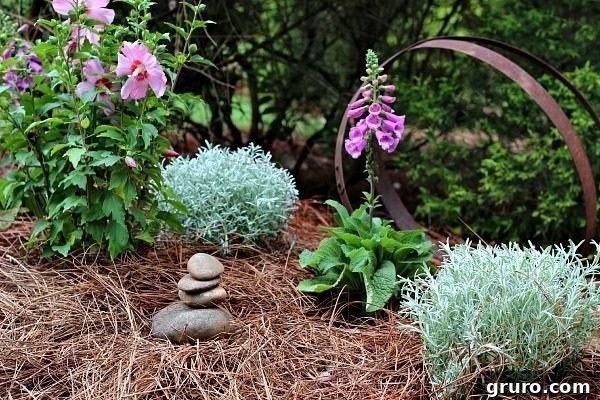 A little corner in the garden filled with color, Rose of Sharon and Foxglove creating a harmonious display