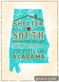 shelterfor south Shelter for the South initiative