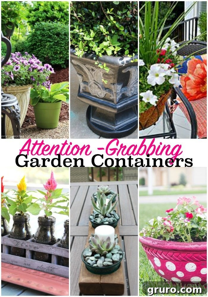 Succulents in Vintage container and more plants in Attention Grabbing Garden Containers at Refresh Restyle Beautiful succulents arranged in a vintage container, showcasing a unique centerpiece idea for home decor.