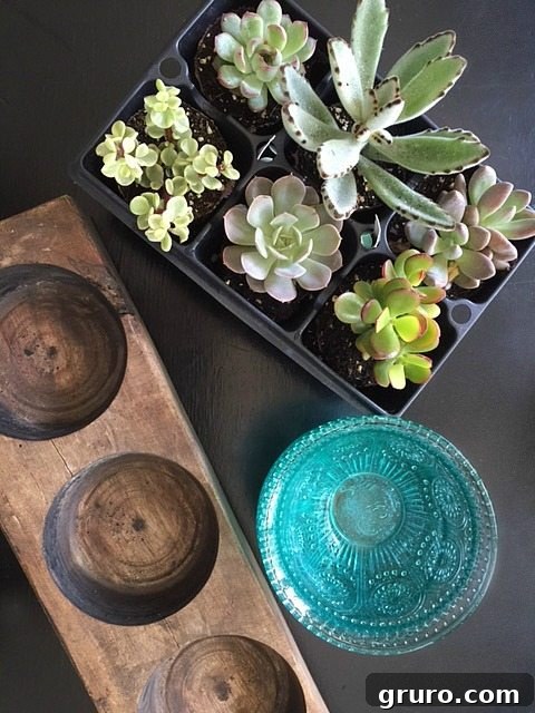 Succulents in Vintage container and more plants in Attention Grabbing Garden Containers at Refresh Restyle Step-by-step guide showing how to plant succulents into Pioneer Woman bowls, placed inside a vintage sugar mold for a unique centerpiece.