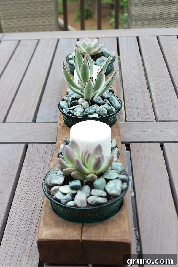 Succulents in Vintage container and more plants in Attention Grabbing Garden Containers at Refresh Restyle Stylish succulent arrangement in Pioneer Woman bowls within a vintage sugar mold, offering trendy decor for any home.