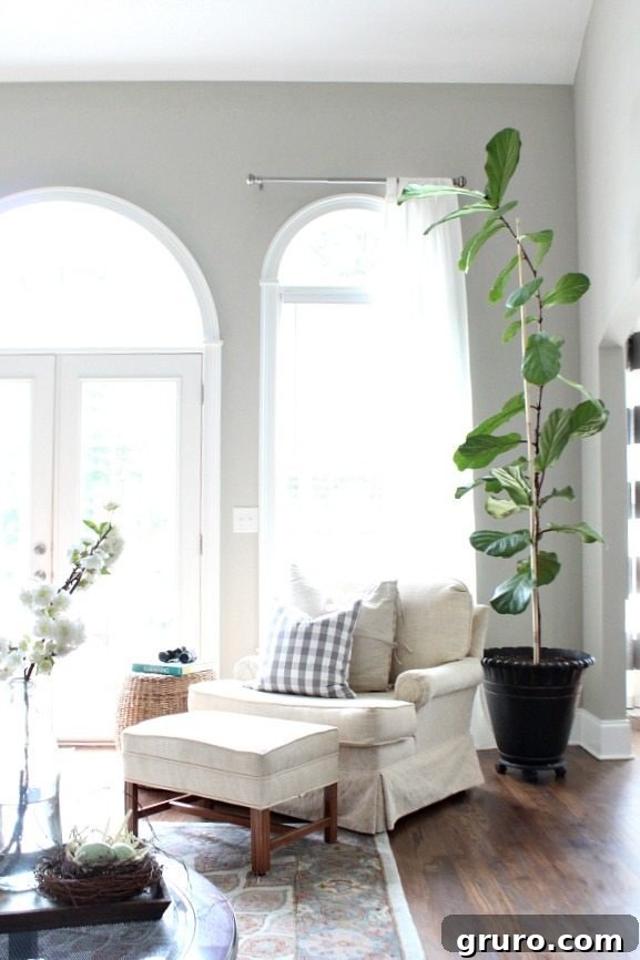 Light and bright space perfect for the fiddle leaf fig tree summer decor at Refresh Restyle