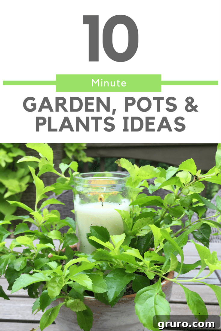 Easy 10 Minute idea for using clay pots, candles, and vibrant plants as a centerpiece