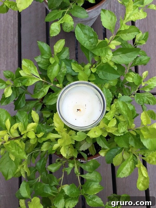 A collection of aged clay pots filled with vibrant plants and elegant candles, creating a rustic outdoor centerpiece.