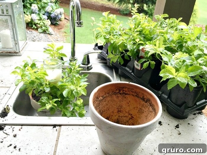 Garden pots with elegant candles nestled among green plants, creating a serene and inviting outdoor centerpiece.