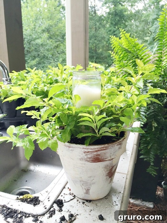 A stunning summer centerpiece featuring aged garden pots filled with lush plants and ambient candles, perfect for outdoor entertaining.