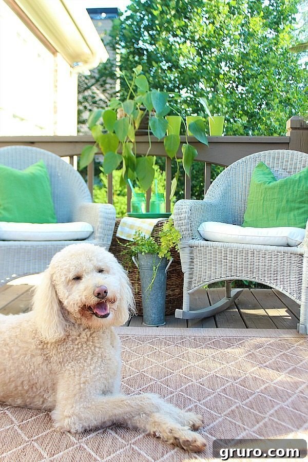 Smart Decorating 10 Refreshing-the-deck-spray-painting-wicker-with-HomeRight-Finish-Max