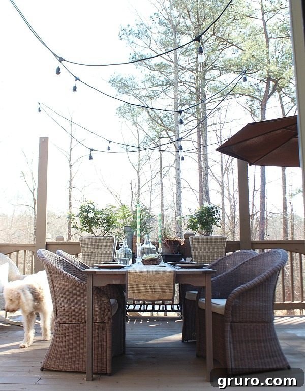 Dining table set with thrifty wine bottles elegantly repurposed as unique vases