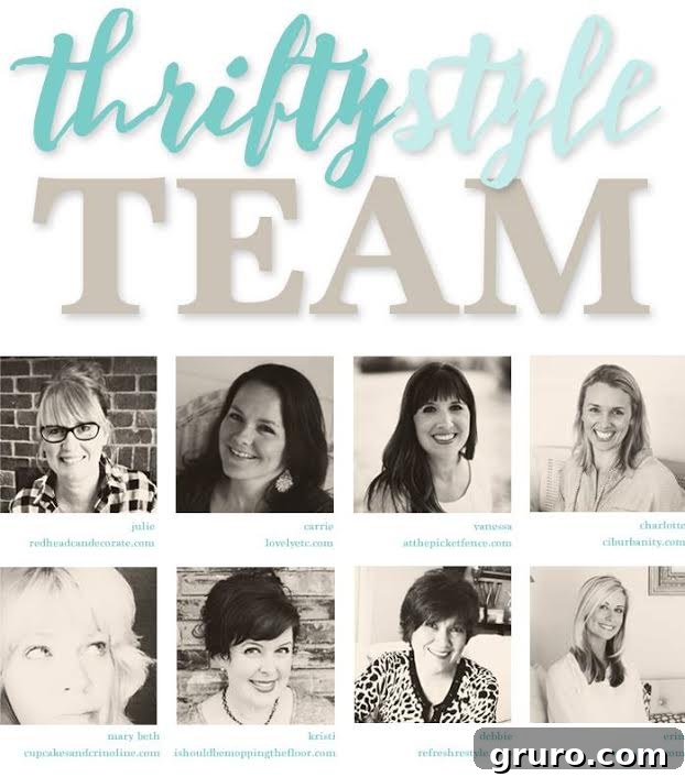 Thrifty Style Team logo with various upcycled items and DIY crafts