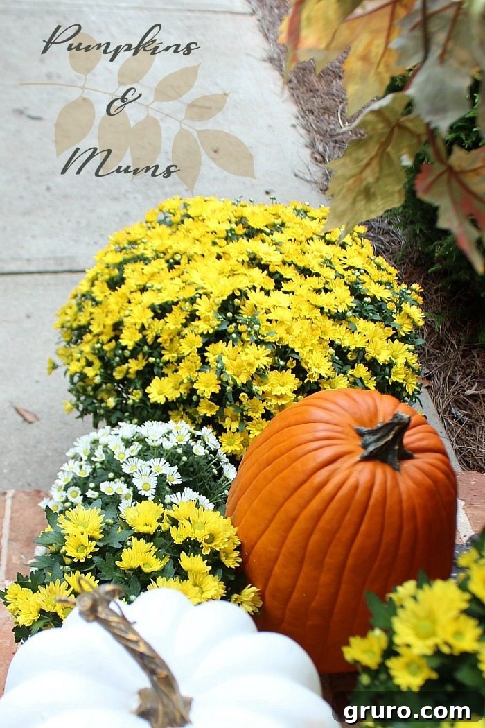 pumpkins-and-mums-are-perfect-for-fall-front-porch-decorating pumpkins-and-mums-are-perfect-for-fall-front-porch-decorating