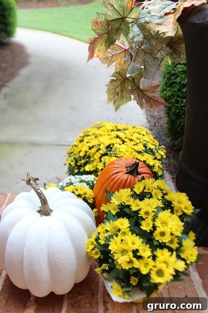 mix-of-pumpkins-and-mums-for-the-fall-front-door mix-of-pumpkins-and-mums-for-the-fall-front-door