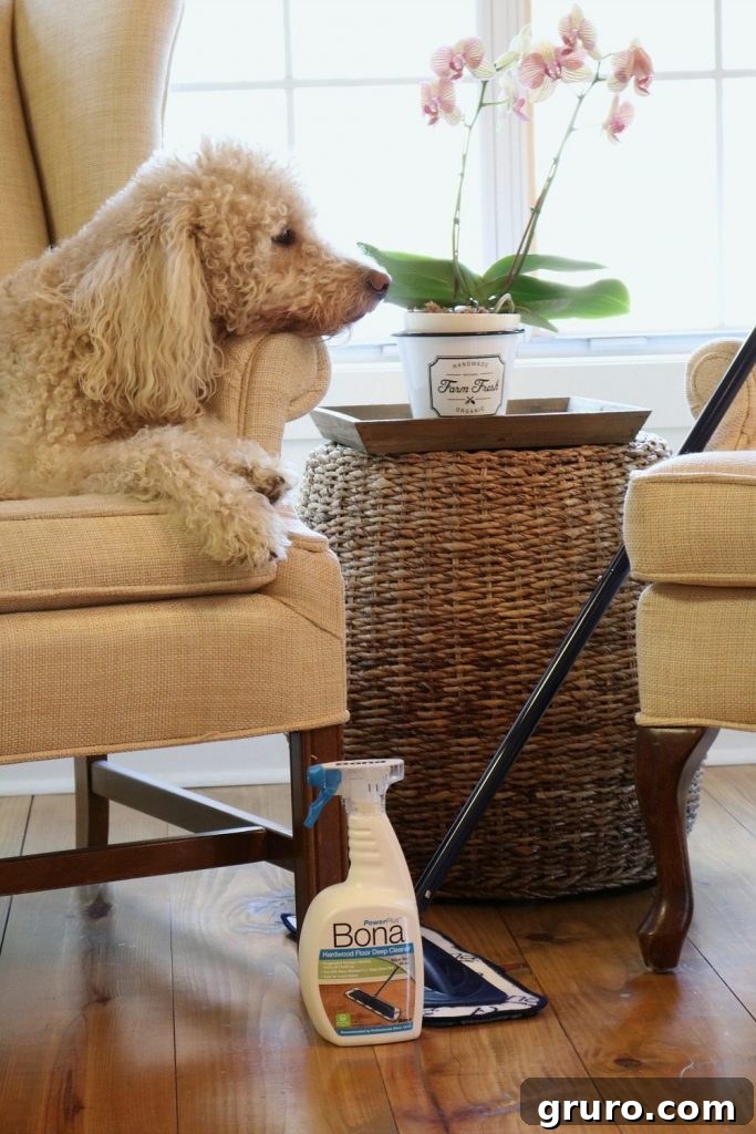 Bona hardwood floor deep cleaner