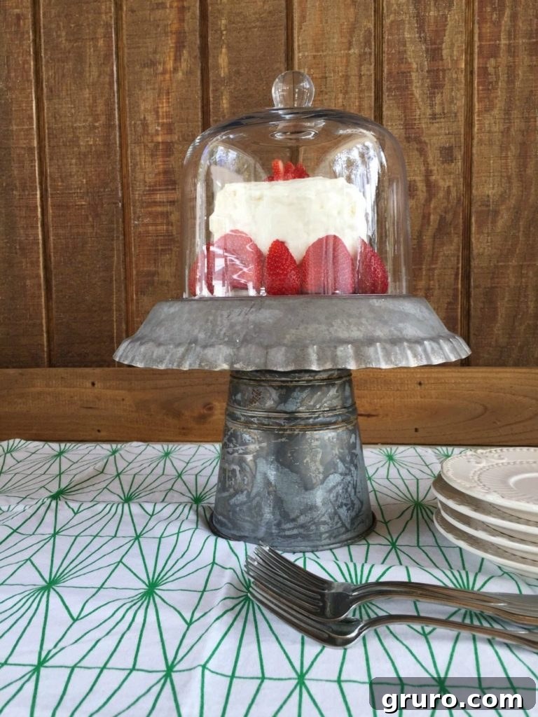 Farmhouse Galvanized Cake Display 4 Cloche covered galvanized cake stand