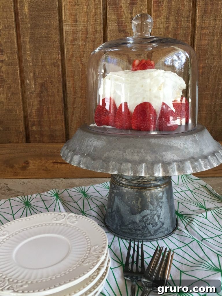 Farmhouse Galvanized Cake Display 5 DIY Galvanized cake plate