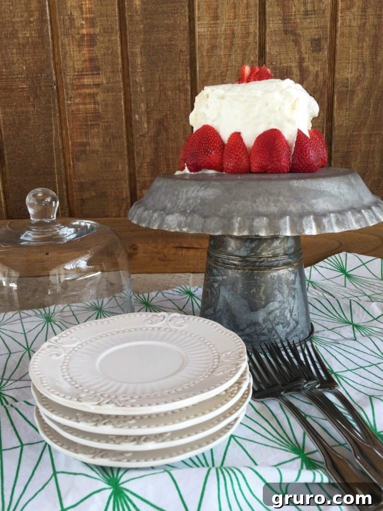Farmhouse Galvanized Cake Display 7 old pie tin makes a great cake plate
