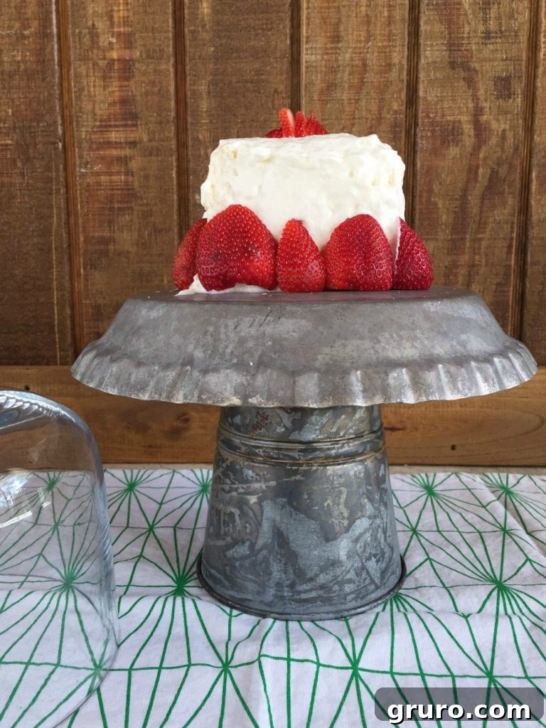 Farmhouse Galvanized Cake Display 8 Make this galvanized cake plate
