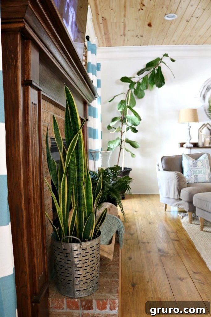 Enhance your home's air quality and seasonal decor by adding lush green plants to your living spaces.