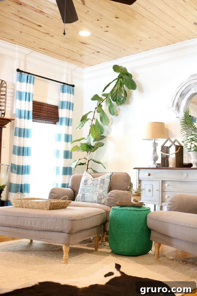 Light-filled living room featuring striped curtains, a fiddle leaf fig tree, and comfortable farmhouse decor.