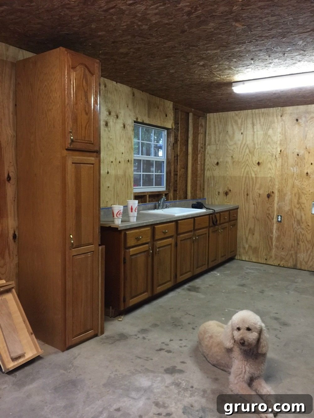 Rustic Retreat: Design and Layout 7 Interior view of garage before conversion, showing plywood walls