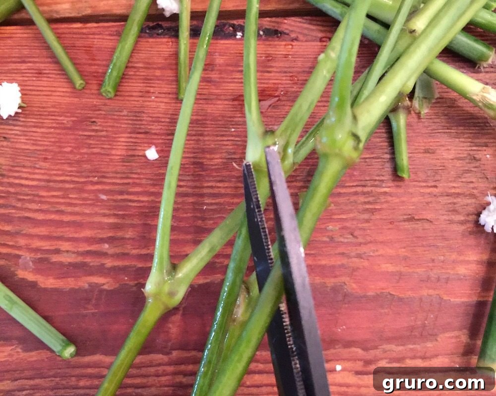 Cutting flower stems at an angle to prolong freshness