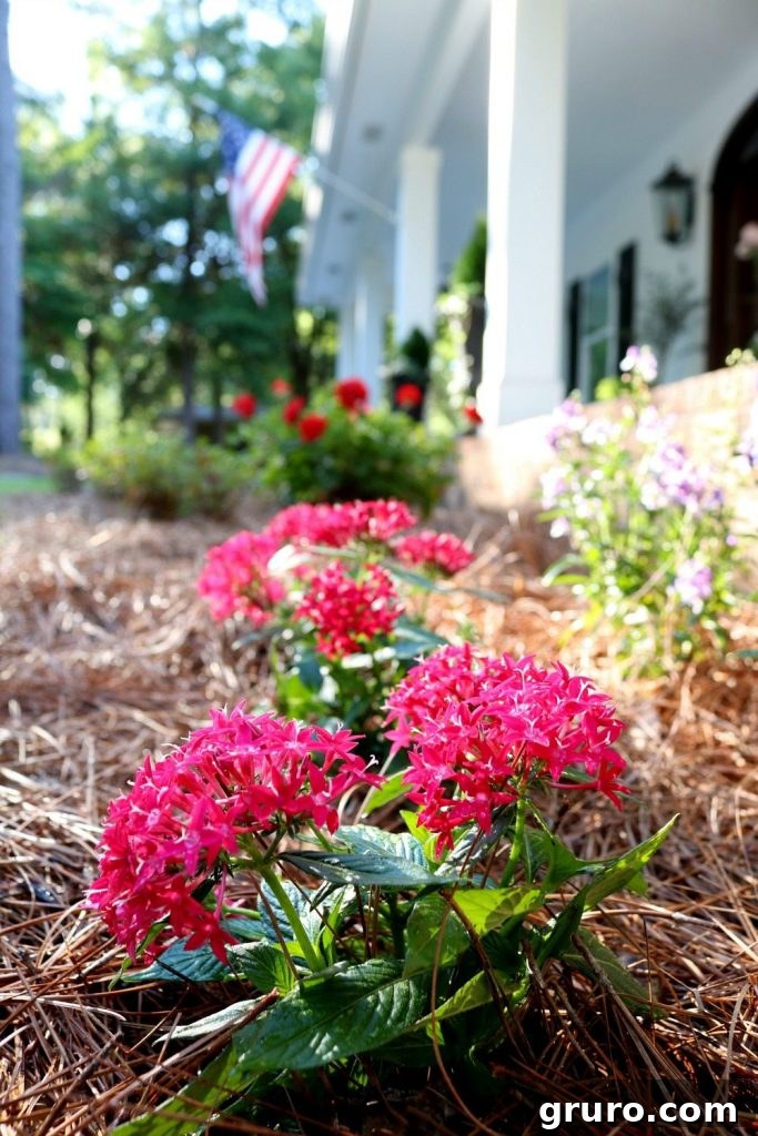 Freshen up the garden with Monrovia plants from Lowe's
