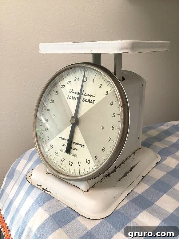 Revitalizing Vintage Kitchen Scales 4 Vintage American Family Scale before its colorful makeover