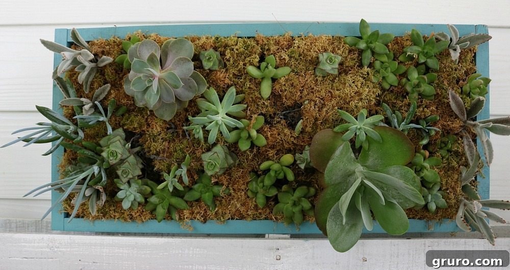 Detailed view of a DIY vertical succulent garden on a farmhouse porch