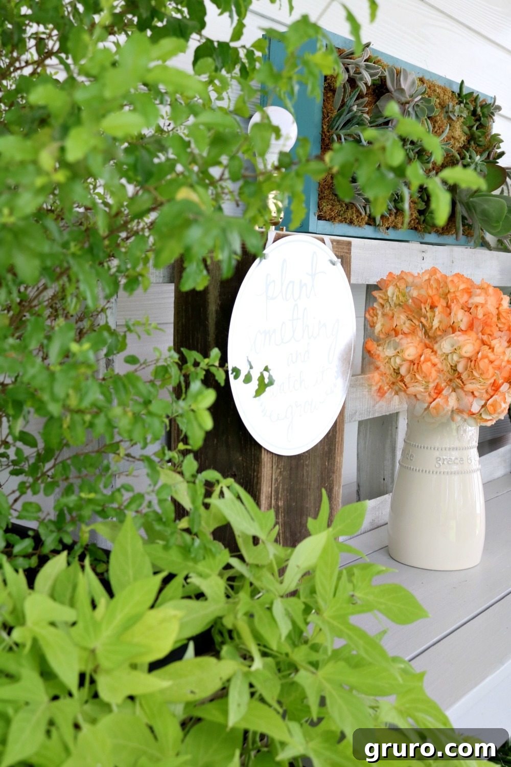 Sweet potato vines draping elegantly, a favorite summer vine on the porch