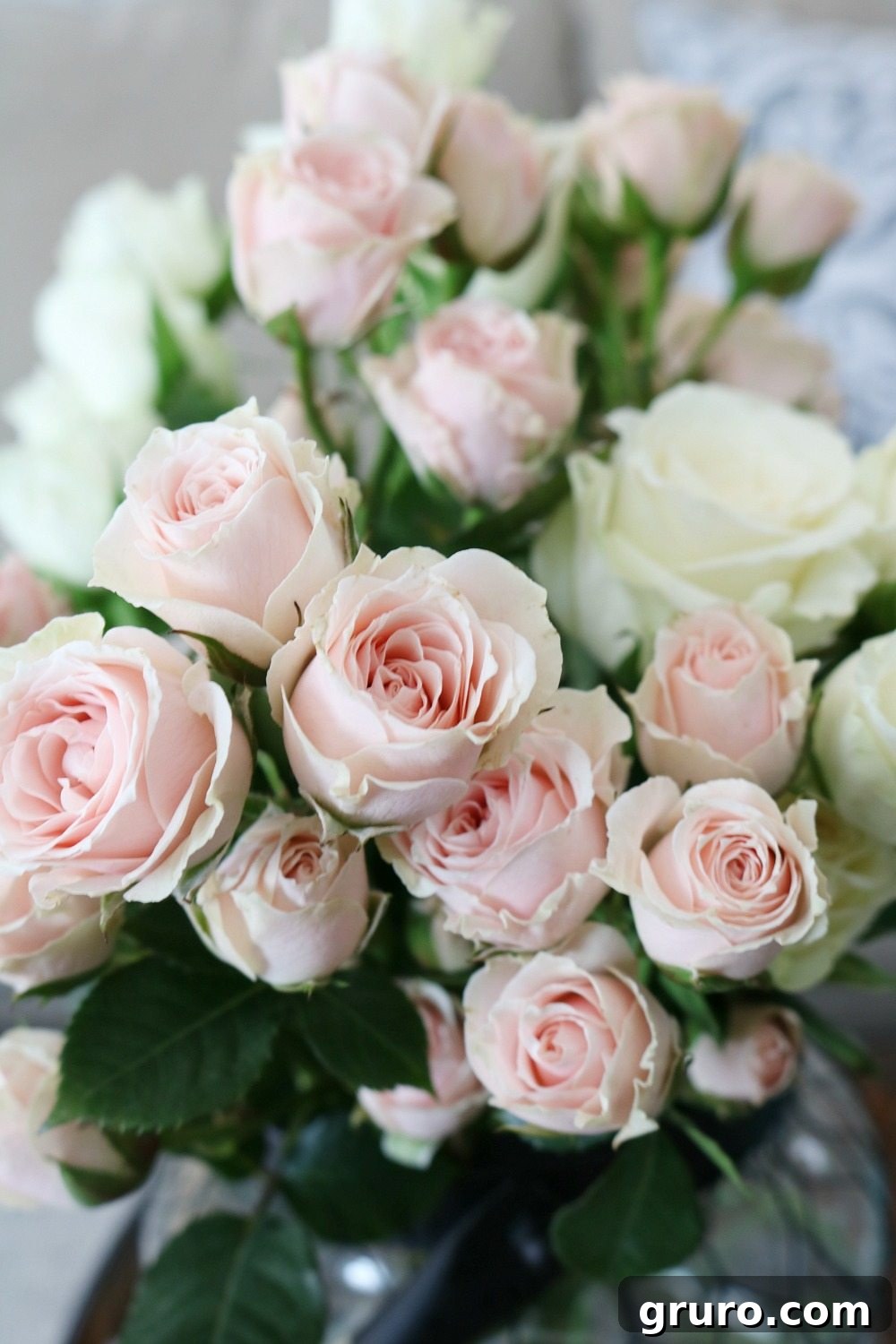 Soft blush colored roses in a vase, adding a touch of elegance to any setting