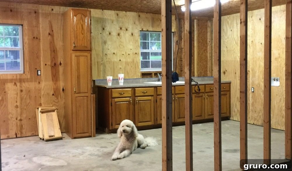 Original dark cabinets before painting, showing the outdated appearance.