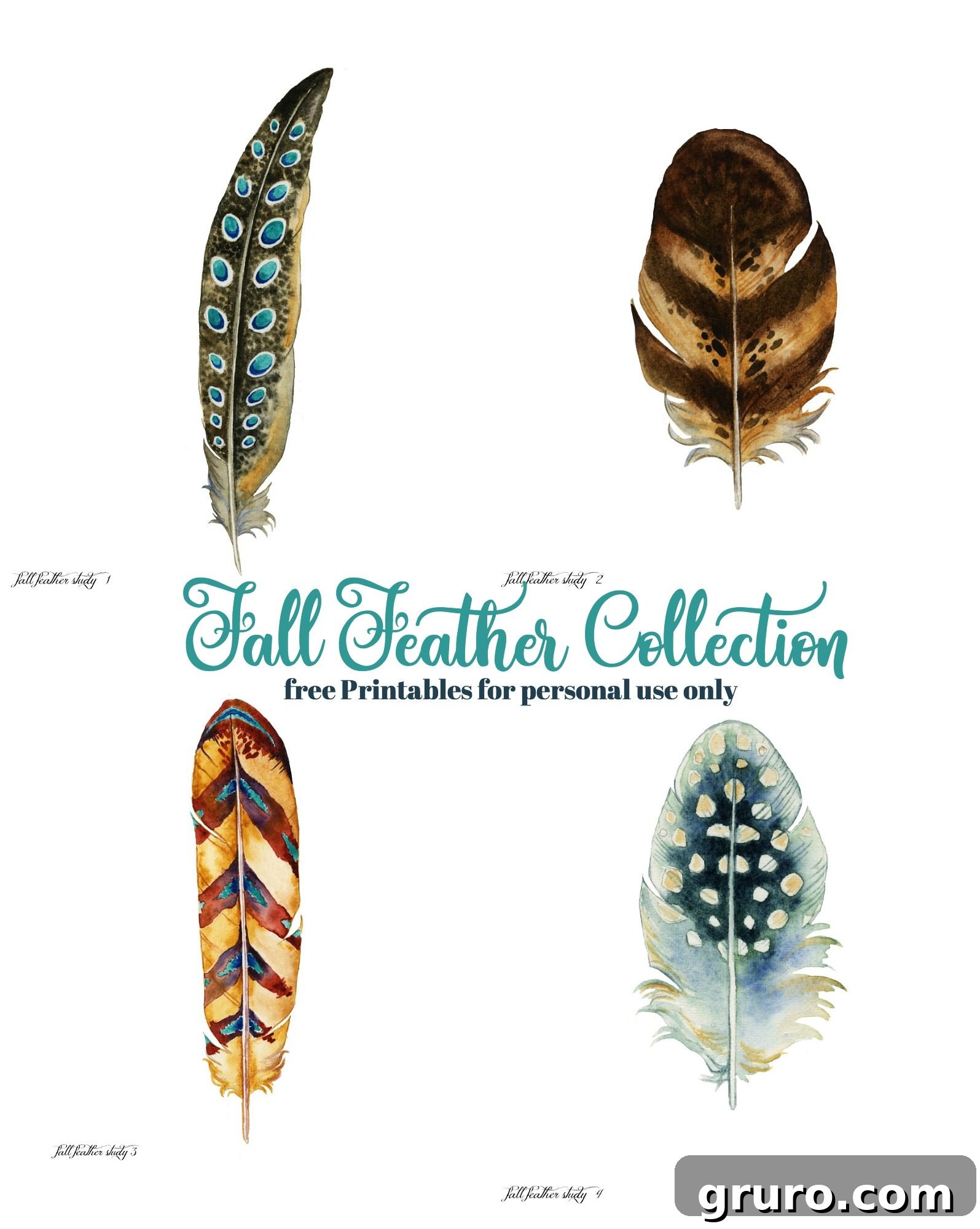 High-resolution free fall feather prints for personal home decor