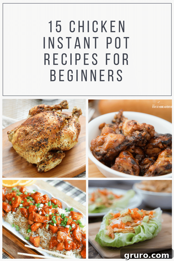 Delicious and Easy Instant Pot Chicken Recipes for Beginners