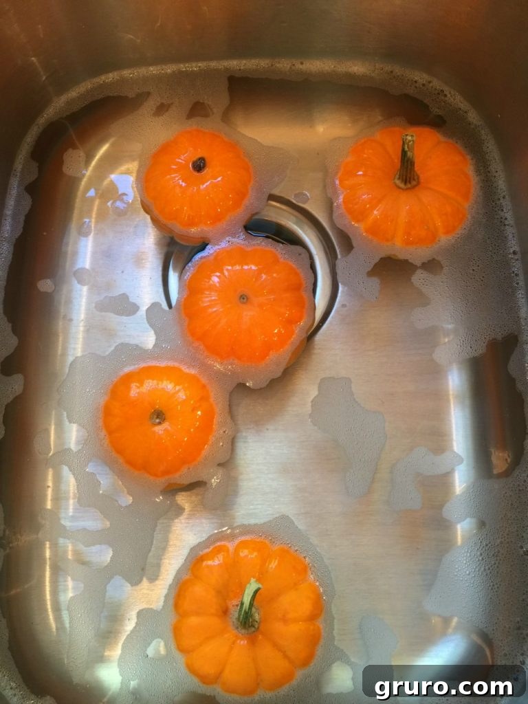 Balkabağı Boyama Sanatı 3 Prepare your pumpkins for painting by washing them with a bleach solution