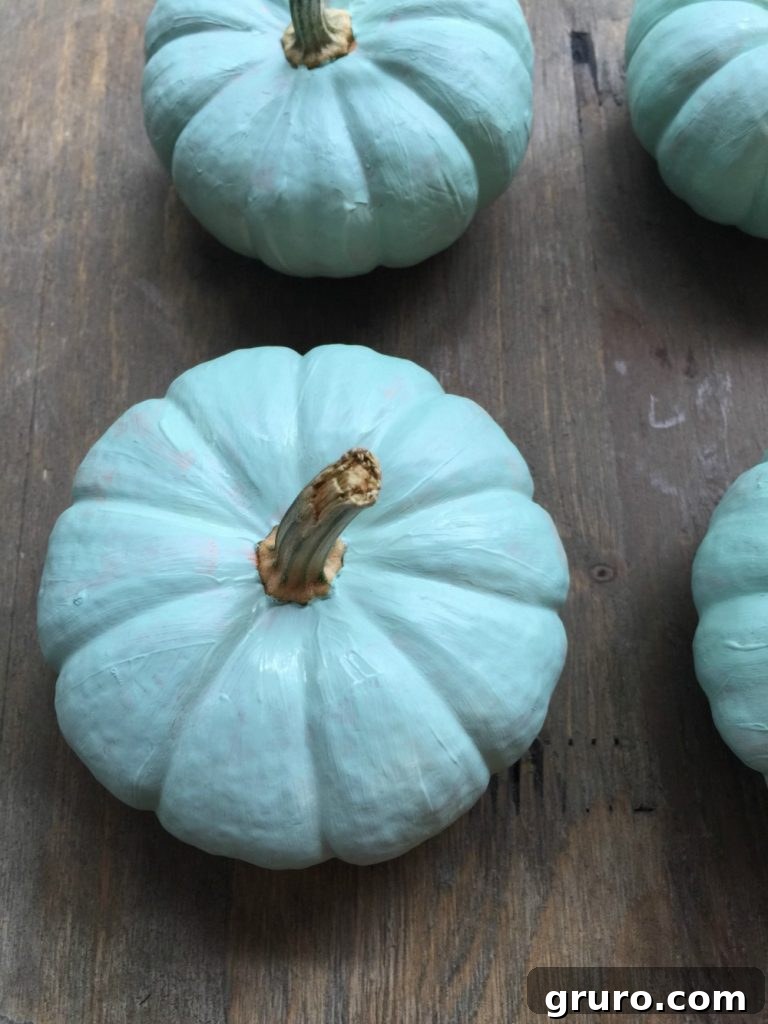 Balkabağı Boyama Sanatı 5 Clean your pumpkins with bleach before painting for best results