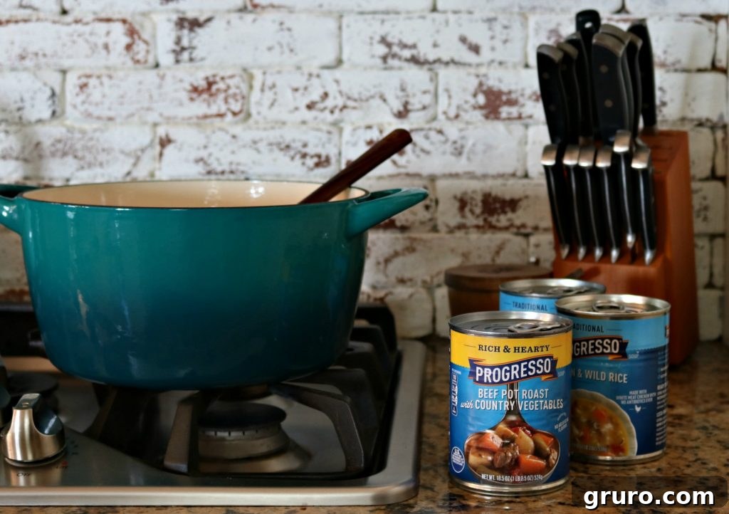 My Blogging Origin Story 7 Progresso Beef Pot Roast soup, perfect for a quick and satisfying meal for two people.