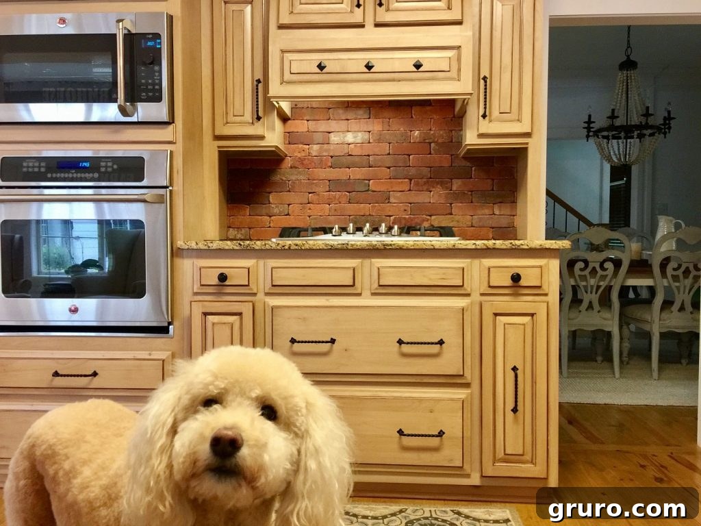 Kitchen view showing the newly painted brick backsplash