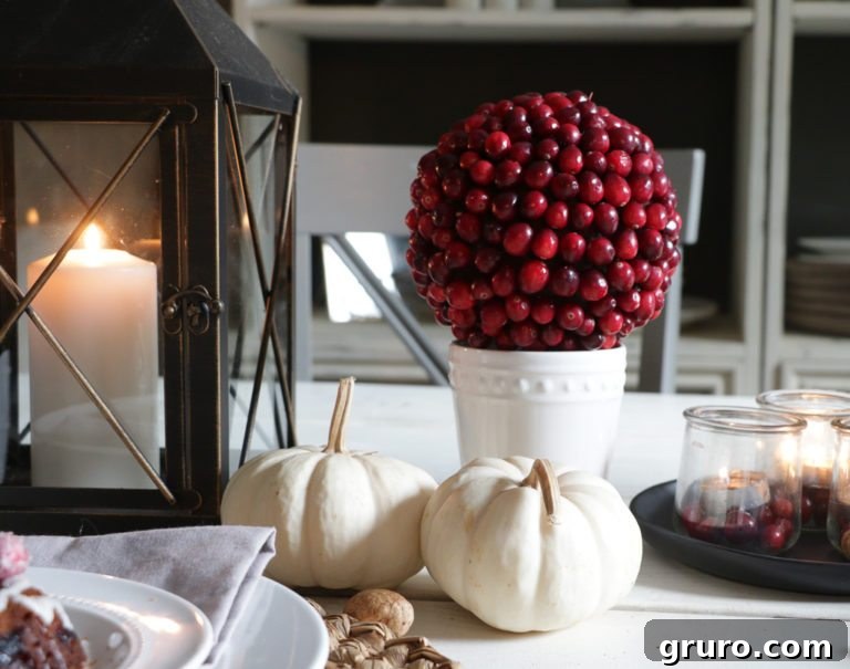 DIY Cranberry Topiary, an elegant and natural festive Christmas centerpiece or accent piece