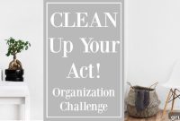 Mastering Creative Organization: Week Two