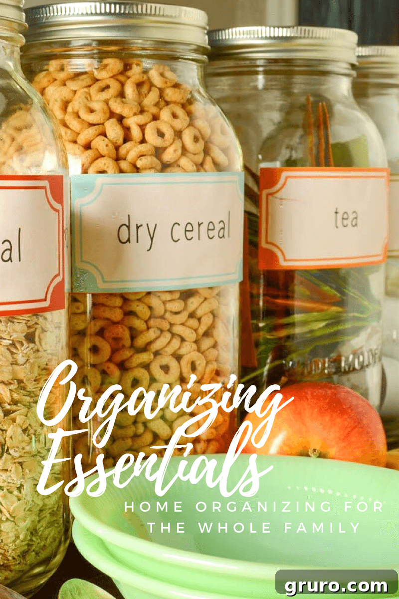 Drawer Makeover 4 Home Organizing Essentials for a Tidy Living Space