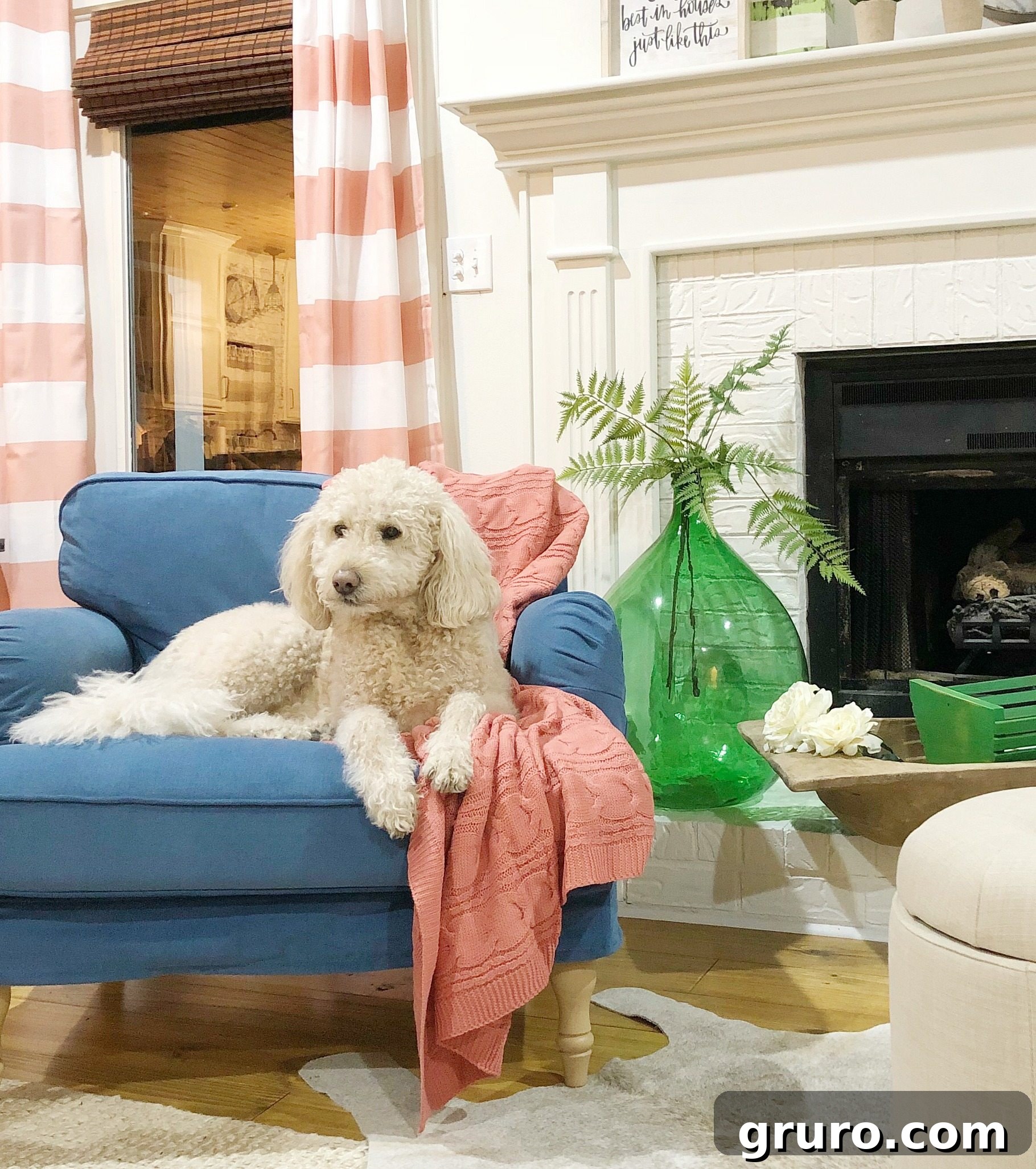 Murphy approves of the vibrant and colorful changes introduced to this neutral living room, featuring a painted brick fireplace and diverse decorative accents. Sponsored by Better Homes & Gardens at Walmart.
