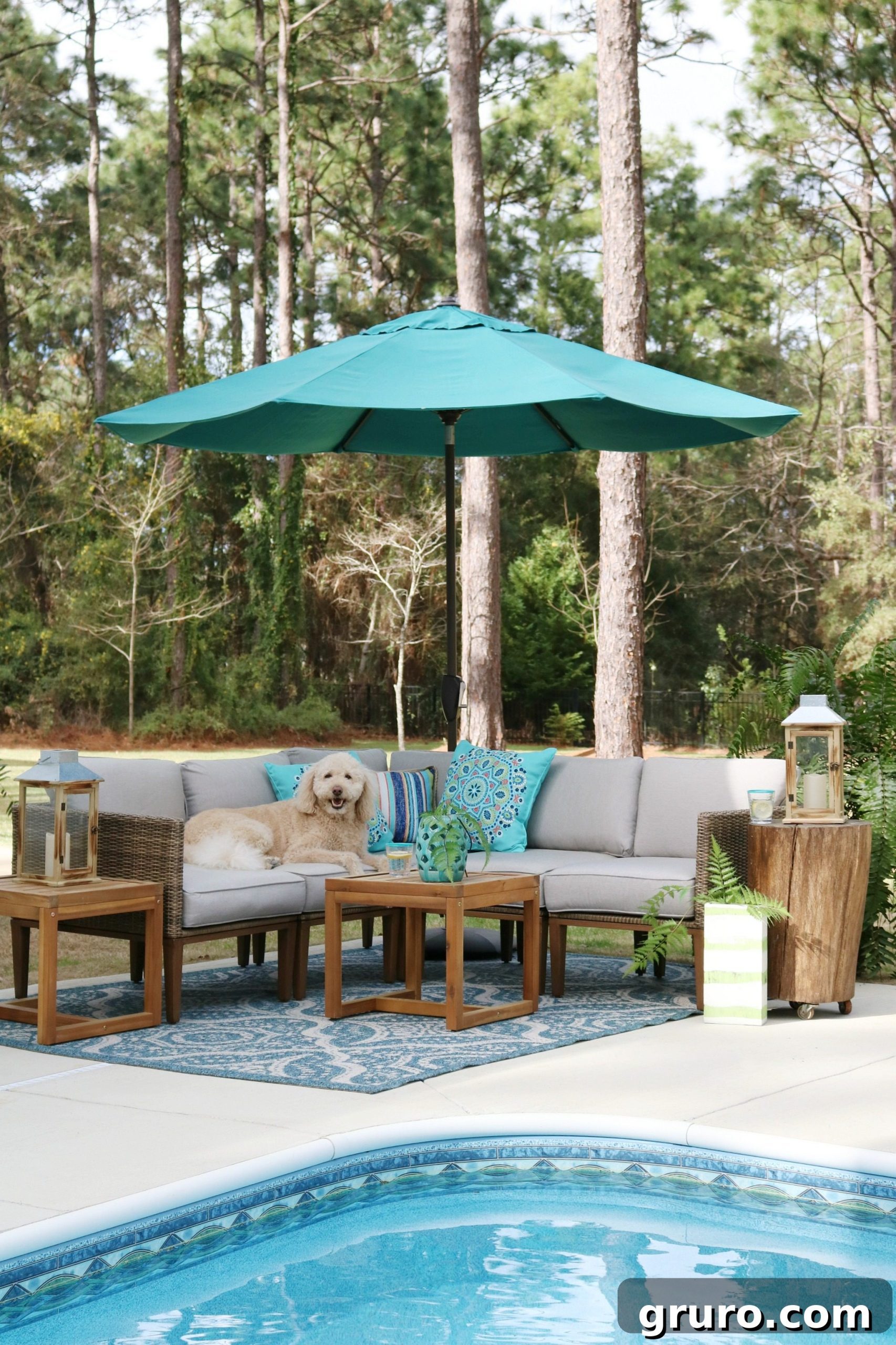 Poolside labradoodle Murphy enjoying the comfortable outdoor furniture.
