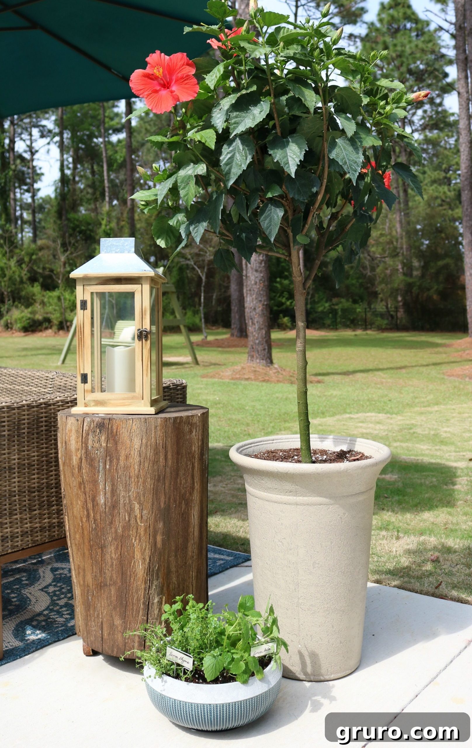 Assorted planters featuring vibrant flowers and fresh herbs, enhancing the patio decor and offering practical benefits.