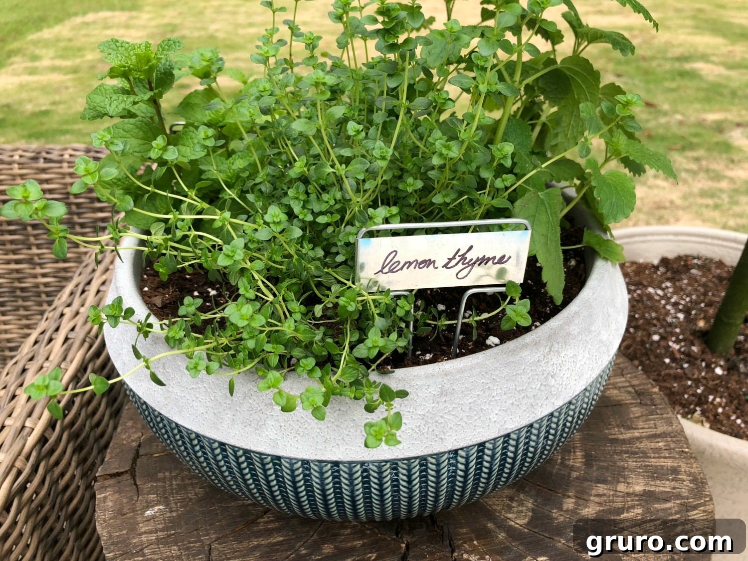 A Better Homes & Gardens herb planter filled with fresh, aromatic herbs, perfect for cooking.
