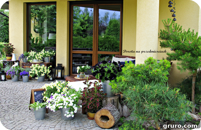 Charming European-style summer patio with simple furniture and potted plants